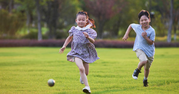 Lawn Sports