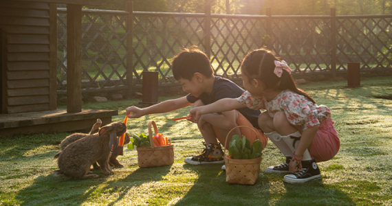 Cute Rabbit Feeding