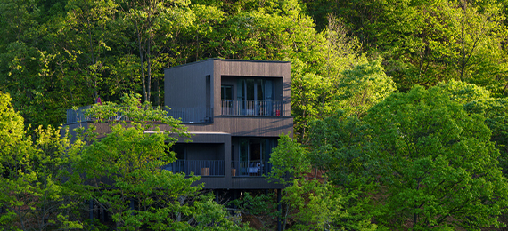 Tree House